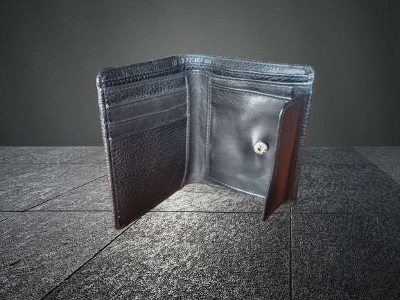 Money Bag -Wallet